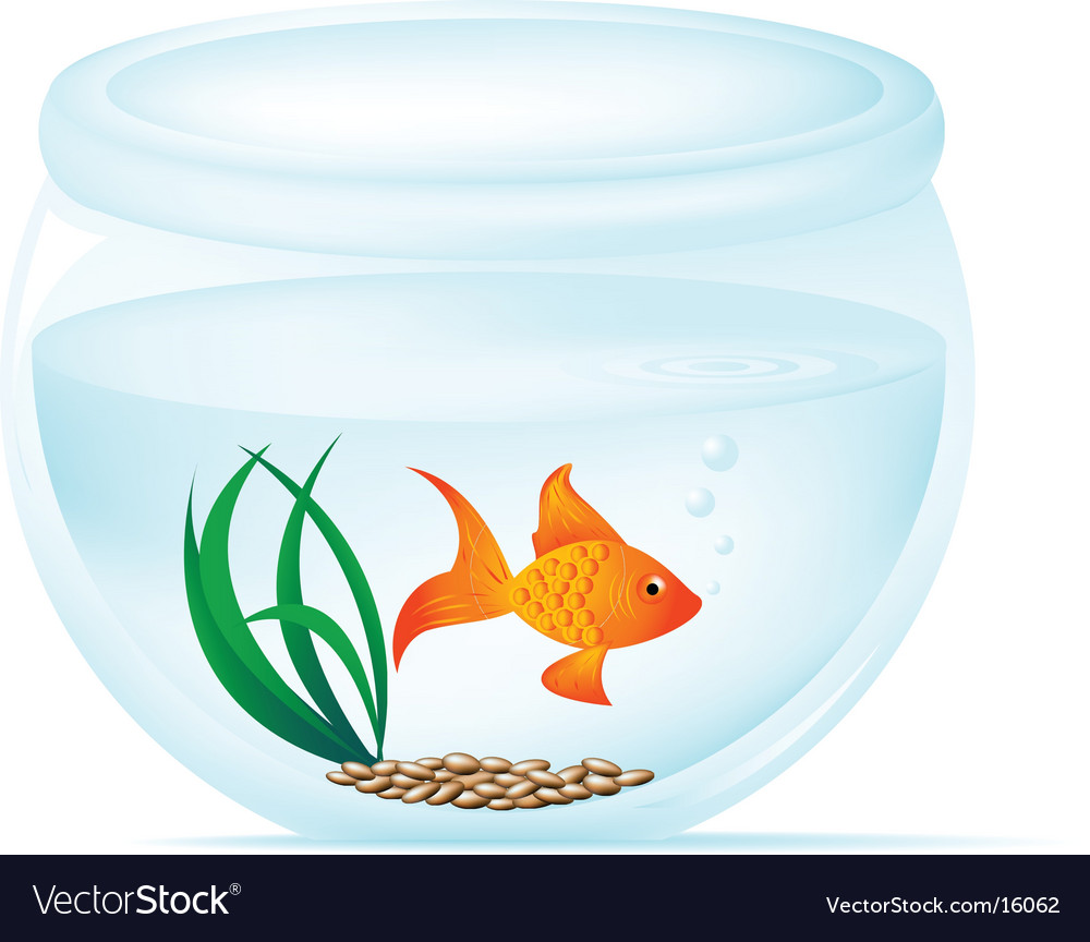 Fish Bowl Stock Illustrations – 33,081 Fish Bowl Stock