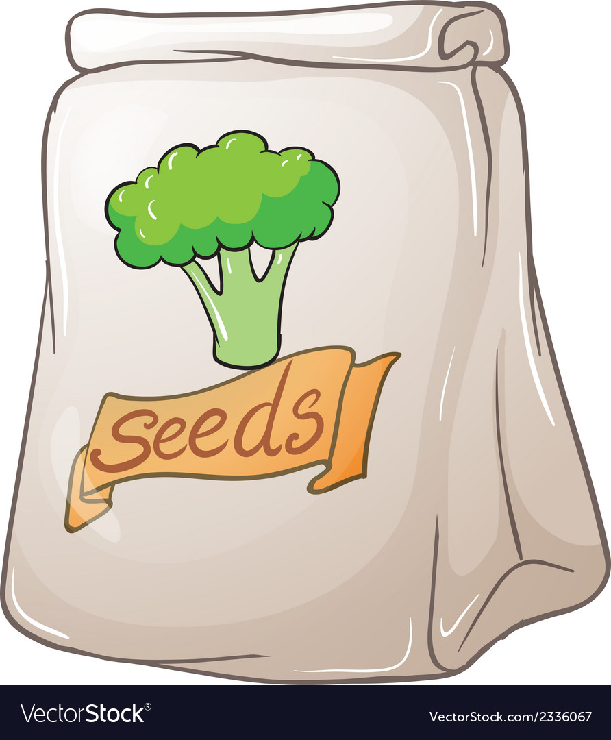 A pack of broccoli seeds Royalty Free Vector Image