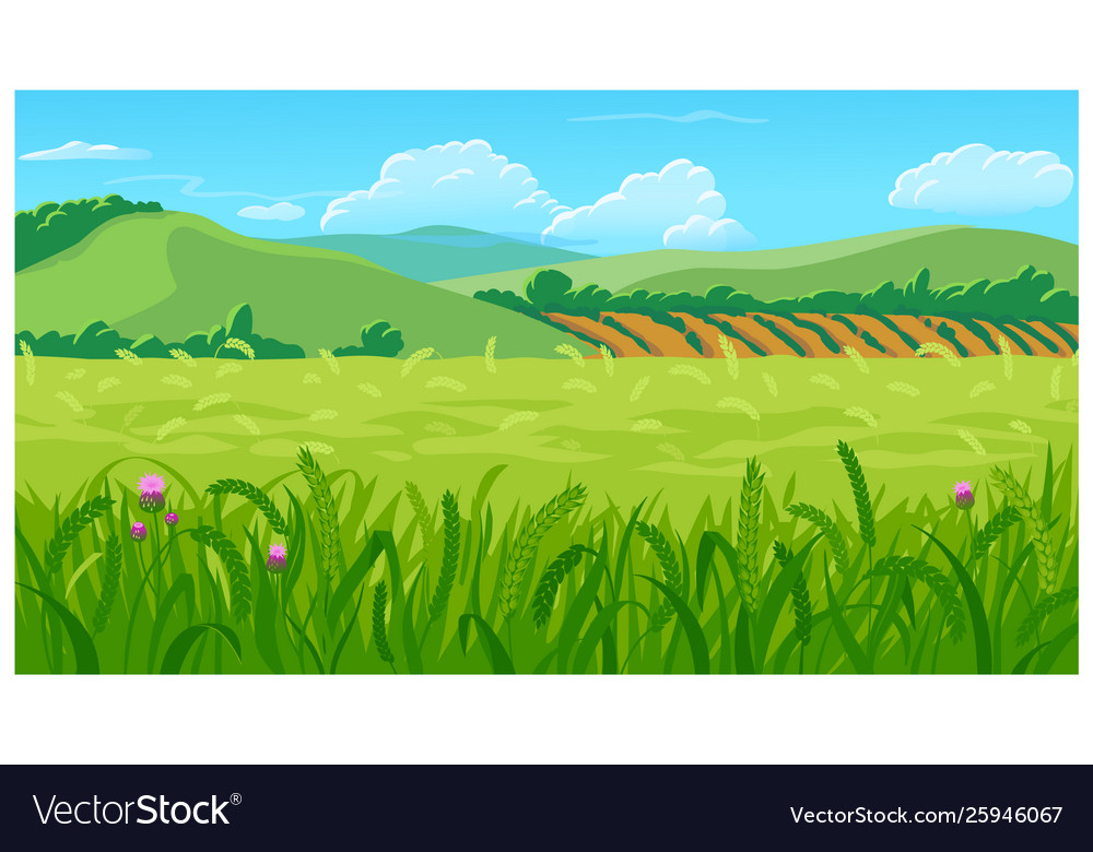 Summer field Royalty Free Vector Image - VectorStock