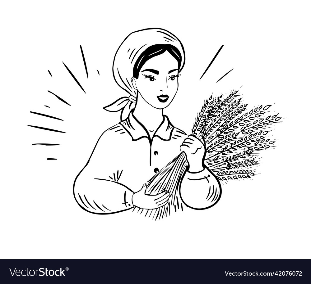 A beautiful girl farmer holds ears of wheat Vector Image