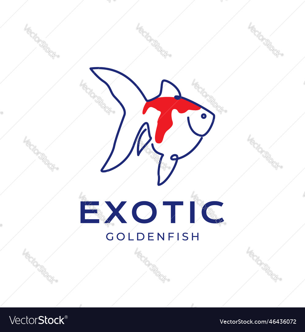 Schönheit Fisch Aquarium exotische goldene Fett Linie