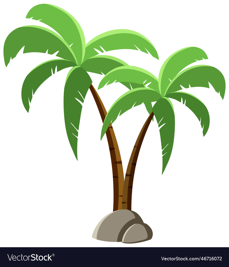 Coconut tree isolated Royalty Free Vector Image