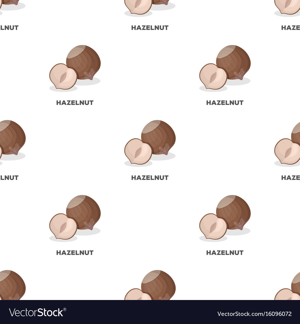 Hazelnuts in shelldifferent kinds of nuts single