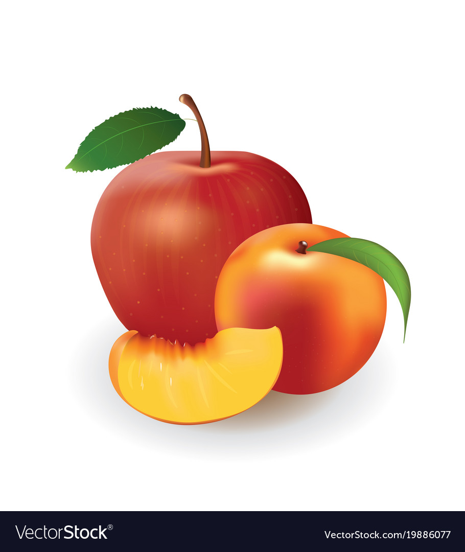 Apple and peach on white background