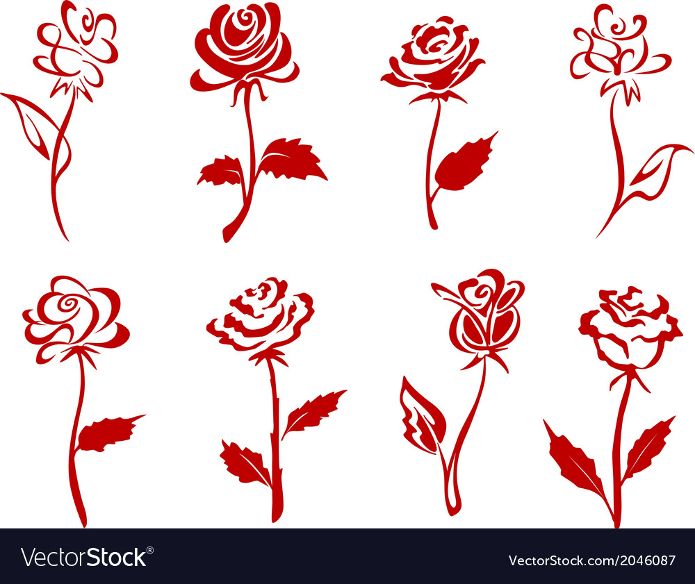 Beautiful red roses Royalty Free Vector Image - VectorStock