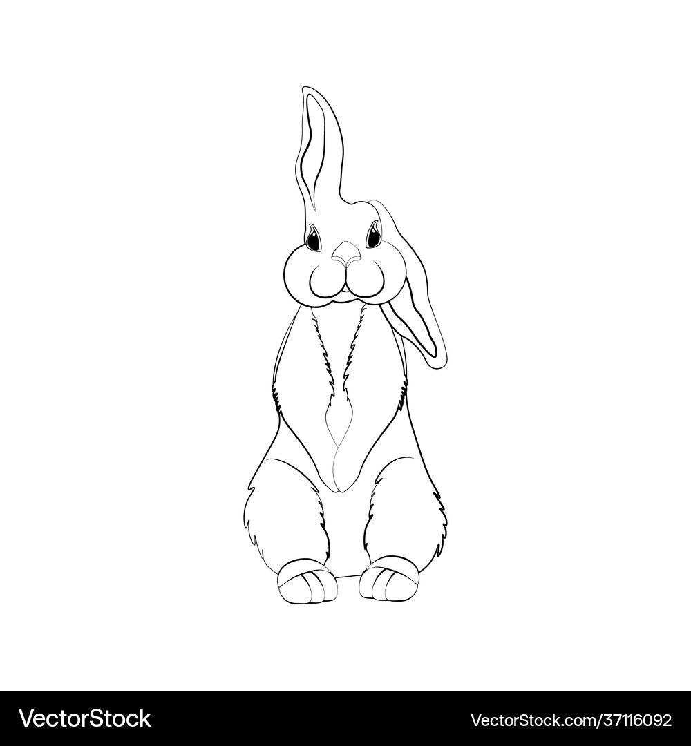 Rabbit little bunny cute animal Royalty Free Vector Image