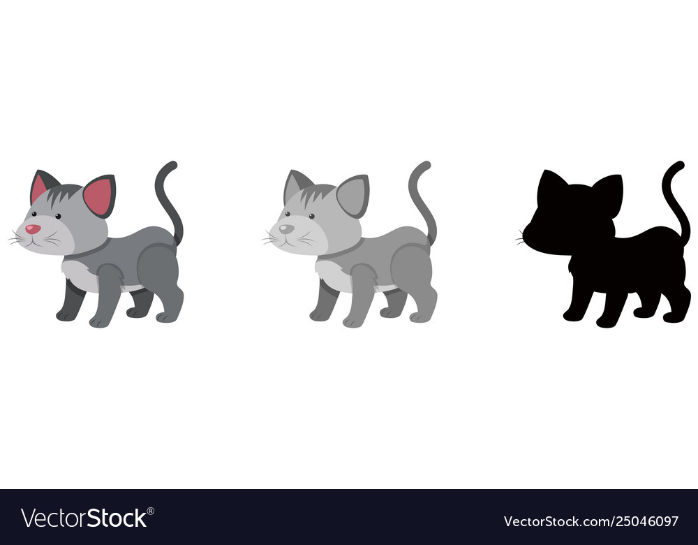 Set cat character