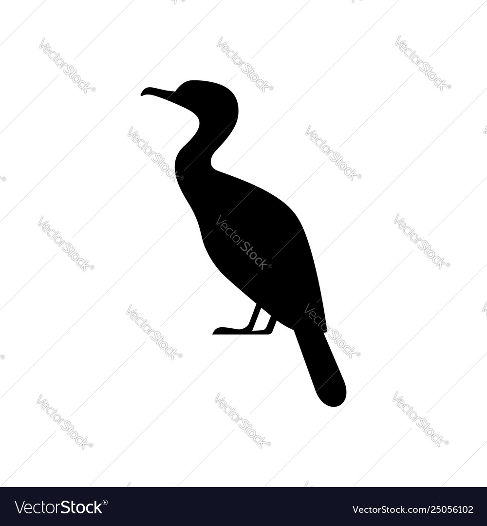 Great cormorant bird icon