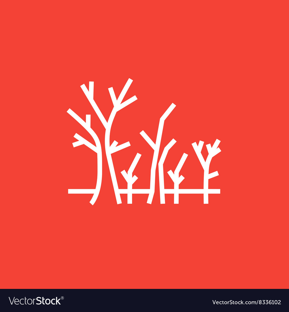 Tree with bare branches line icon