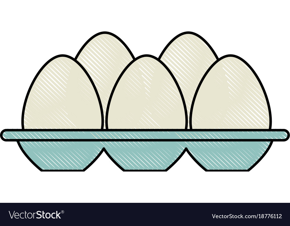 Eggs carton isolated icon Royalty Free Vector Image