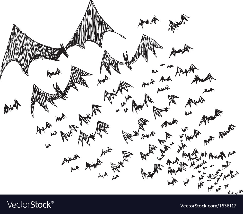 Bats flock