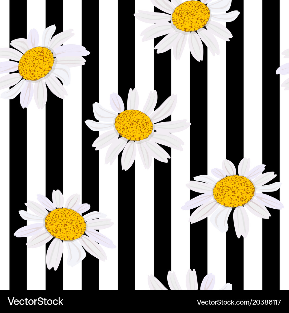 Daisy flowers seamless pattern Royalty Free Vector Image