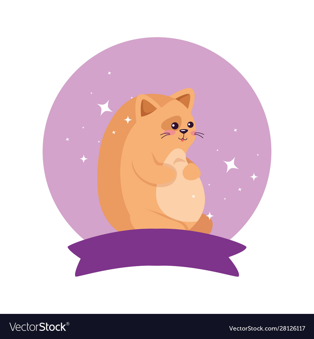 Isolated cat cartoon design