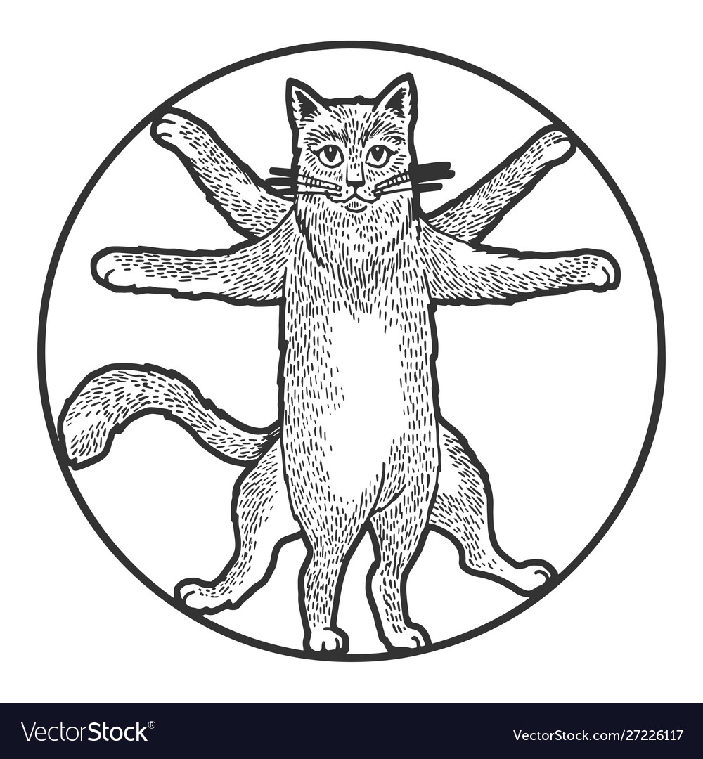 Vitruvian Cat Sketch