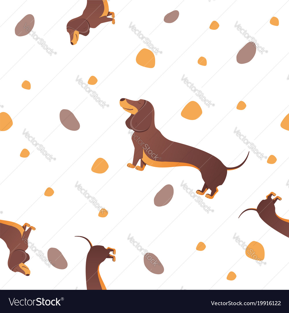 Seamless pattern with dogs and sausage