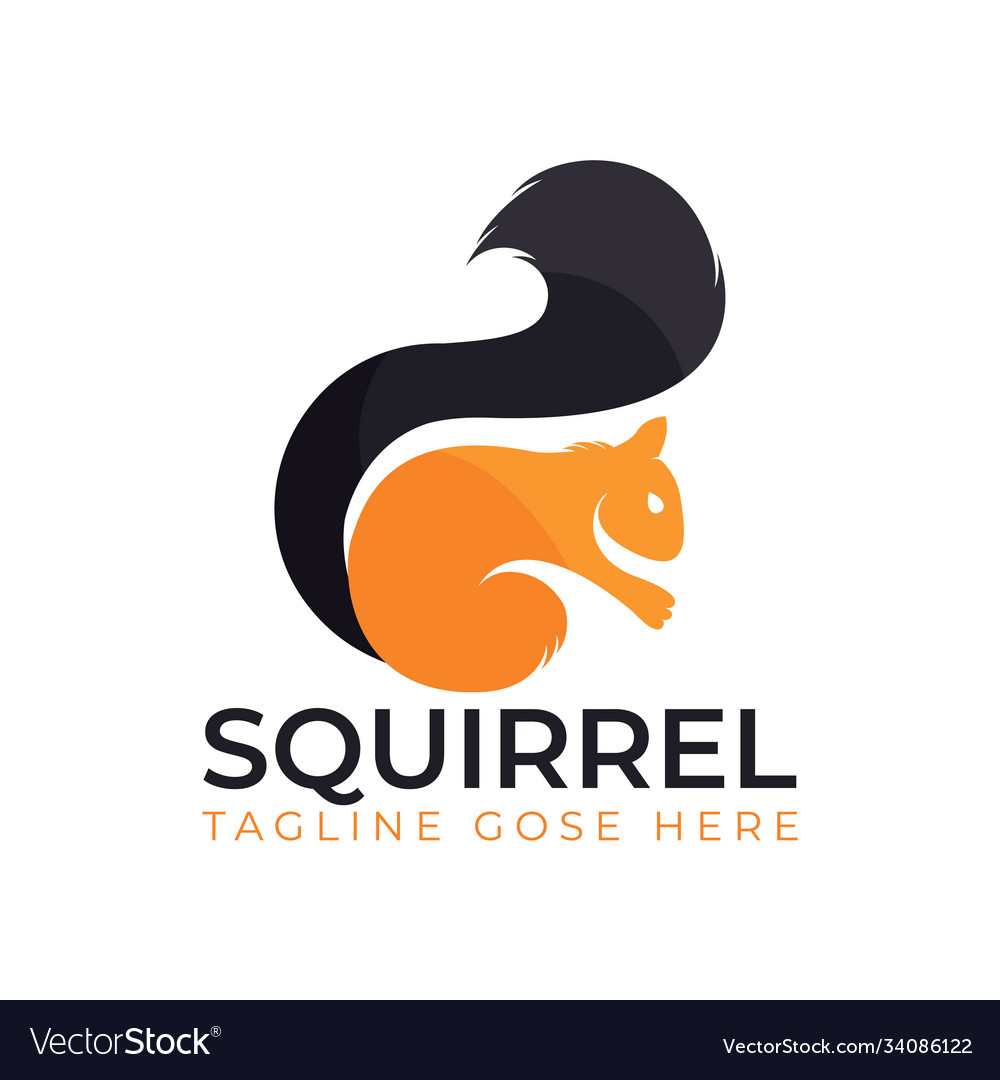 Squirrel logo design template Royalty Free Vector Image