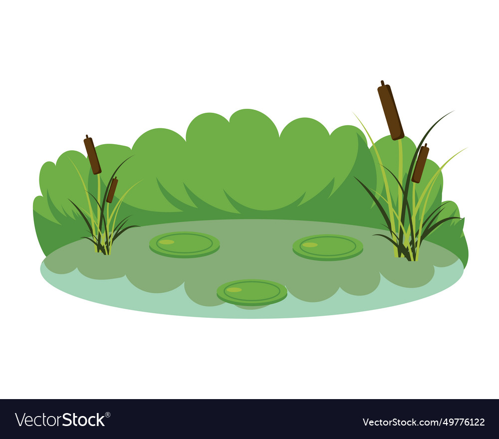 Wetland nature Royalty Free Vector Image - VectorStock