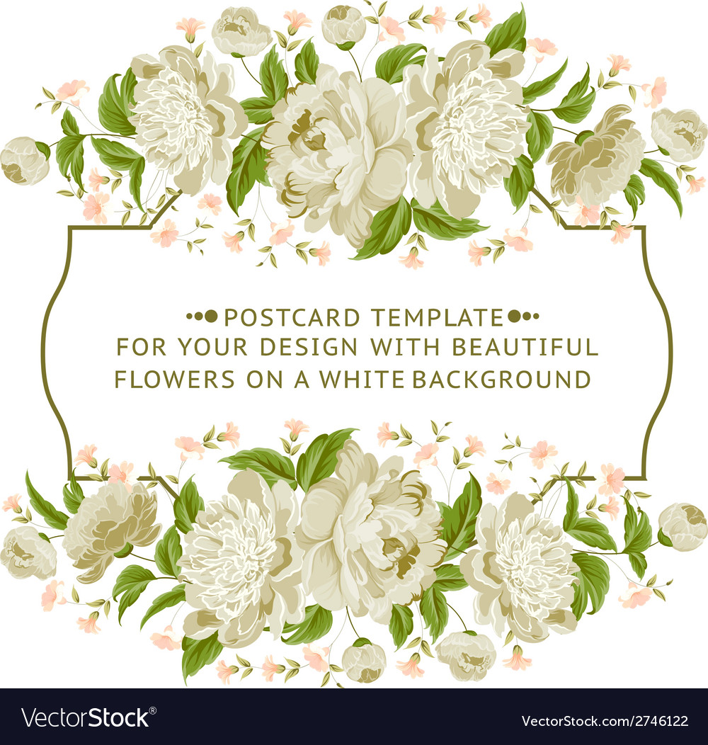 White flowers Royalty Free Vector Image - VectorStock
