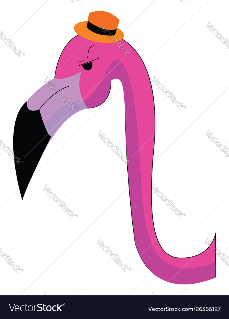 Angry pink flamingo or color Royalty Free Vector Image