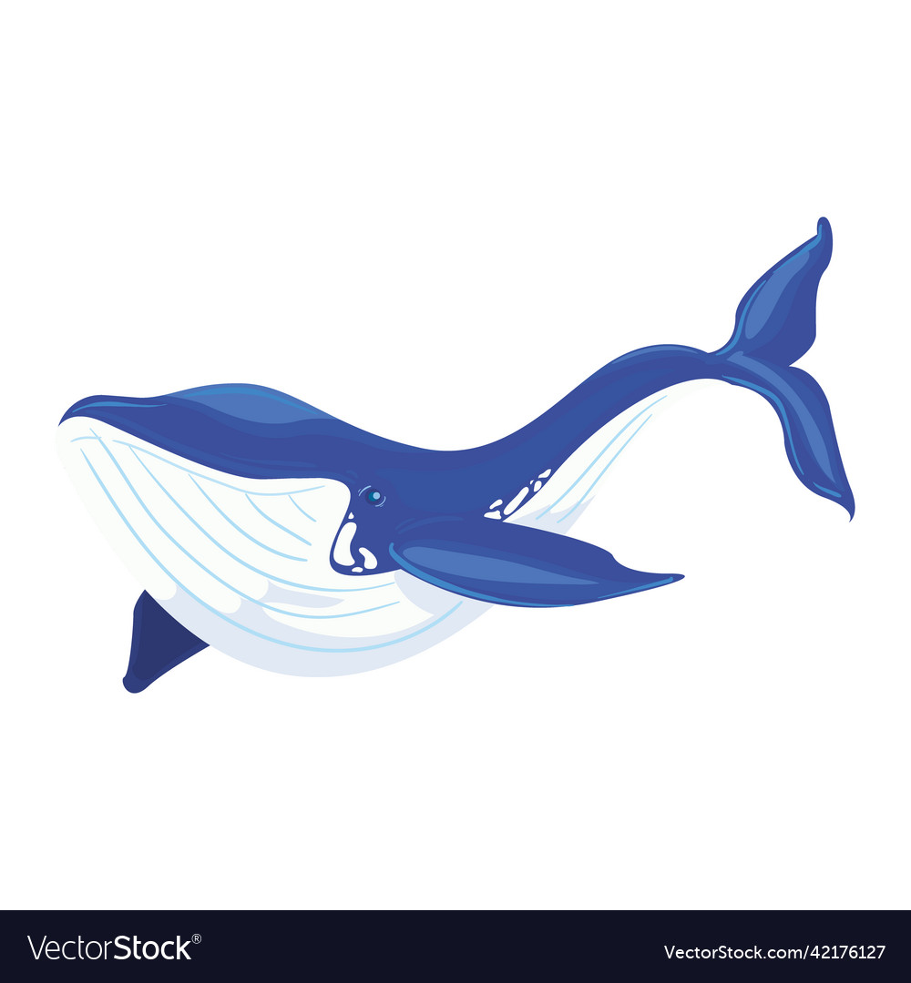 Blue whale design Royalty Free Vector Image - VectorStock