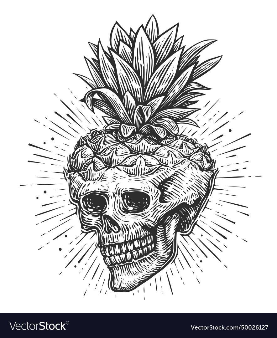 Human skull hand drawn creative skeleton sketch Vector Image