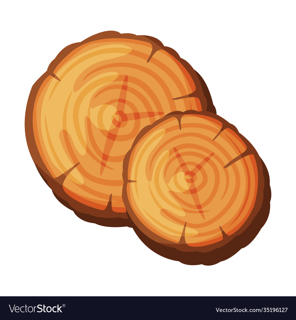 Tree trunk or timber cross section vector image Tree trunk or timber cross section