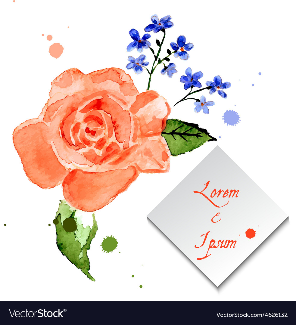 Rose and forget-me-flower for celebratory design