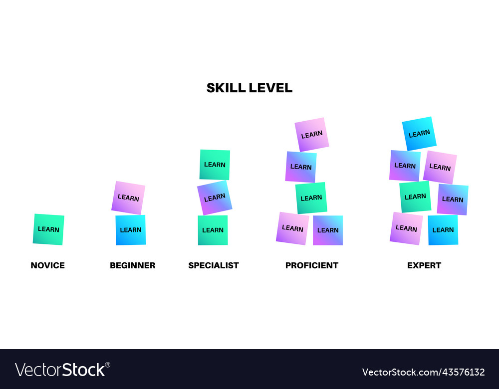 Skill level diagram Royalty Free Vector Image - VectorStock