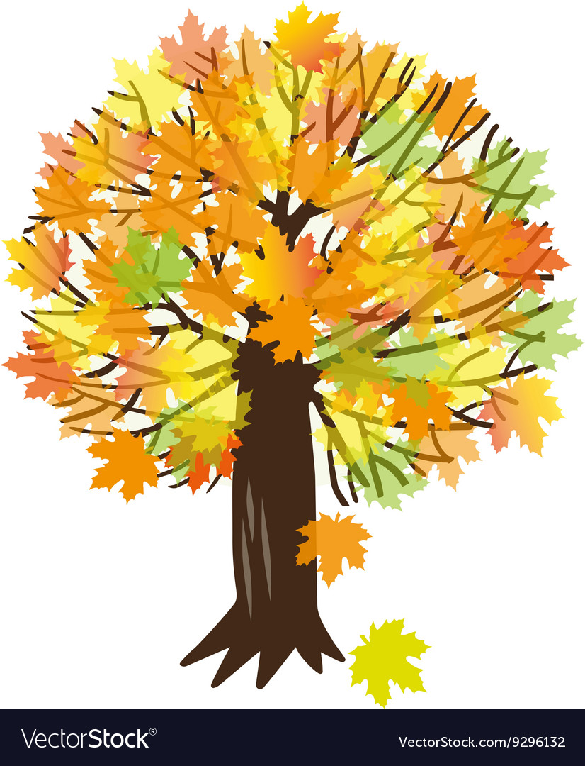 With a maple tree