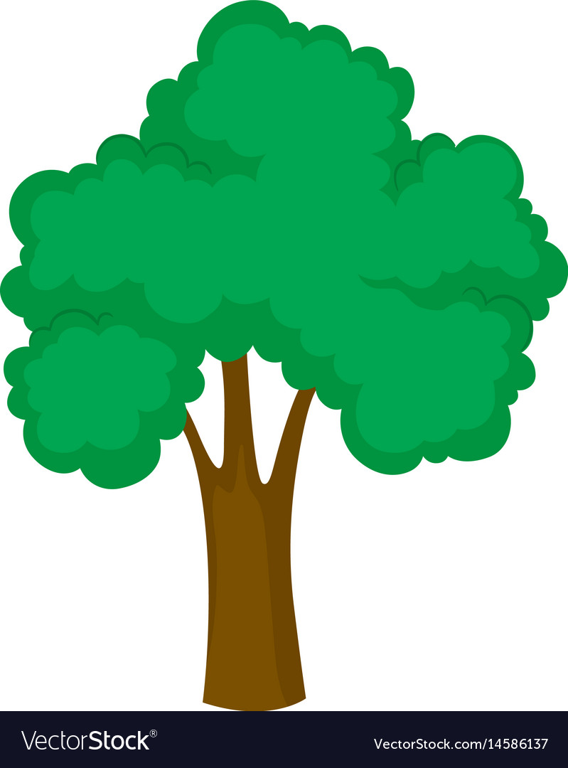 Big tree on white background Royalty Free Vector Image