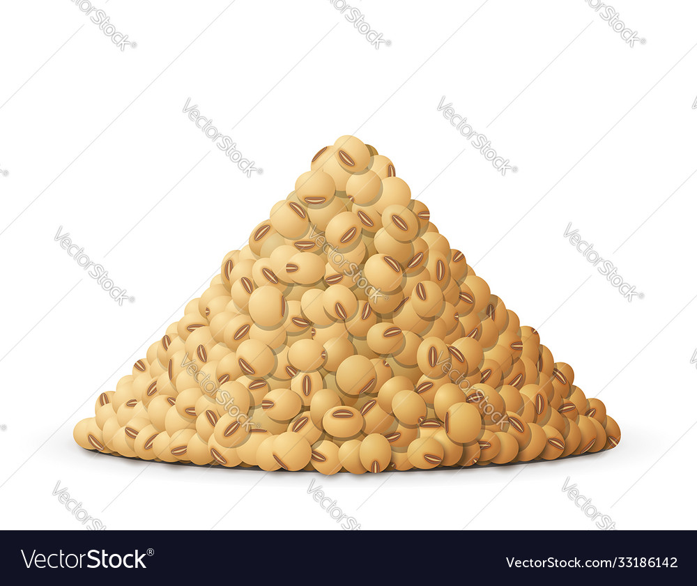 Heap raw soybeans side view vector image Heap raw soybeans side view