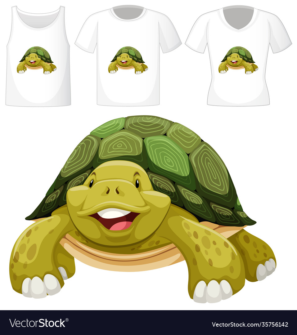 Turtle cartoon character with many types
