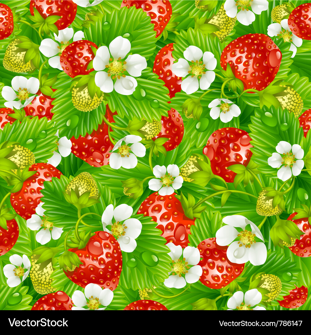 Strawberry seamless background Royalty Free Vector Image