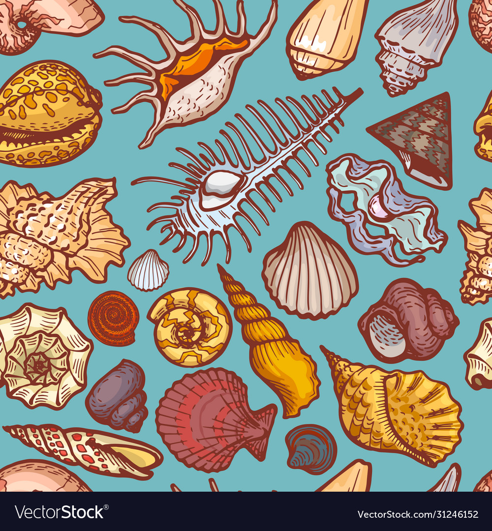Ocean Seashell Pattern - Seamless