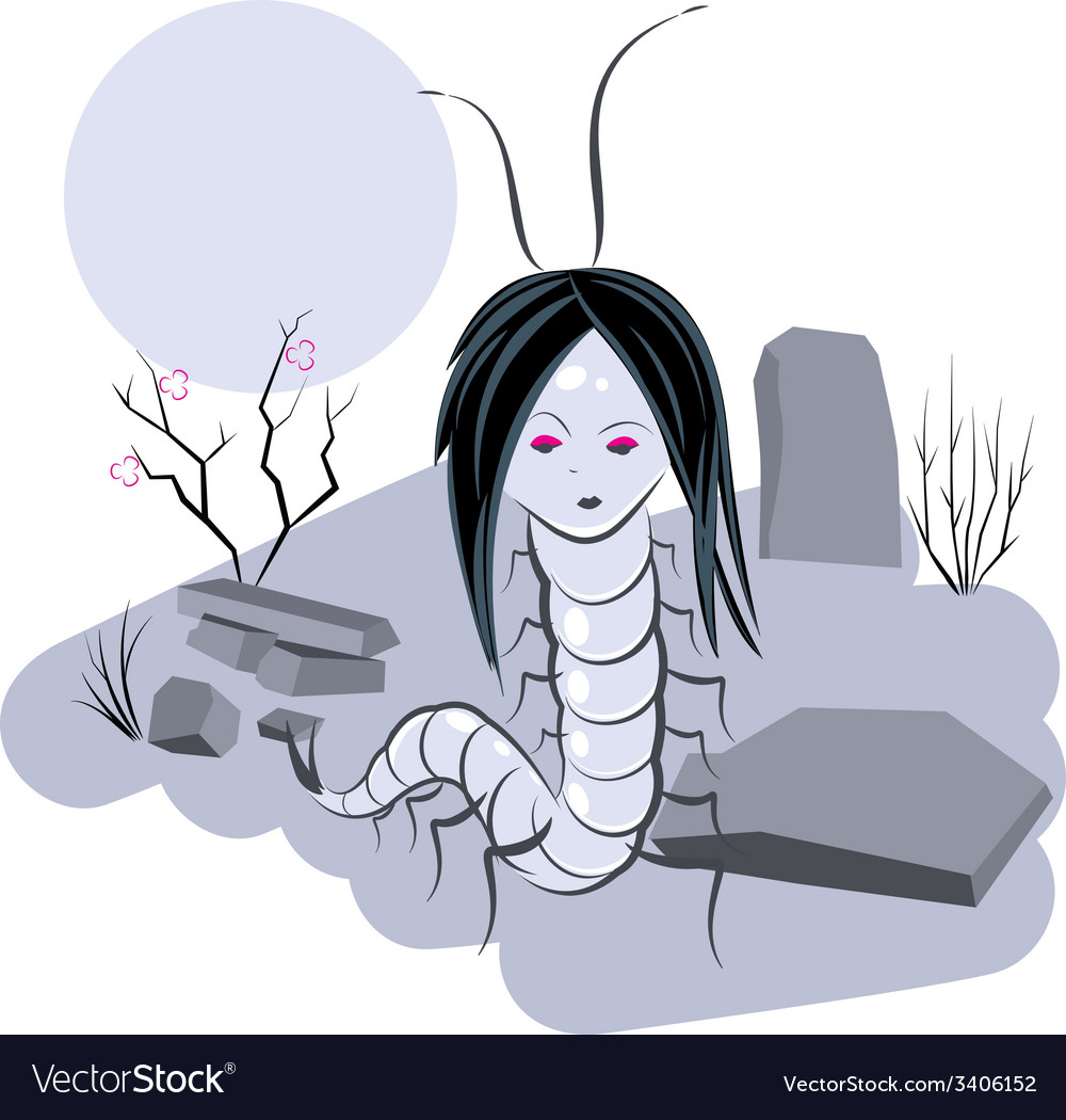 Scolopendra witch in cemetery