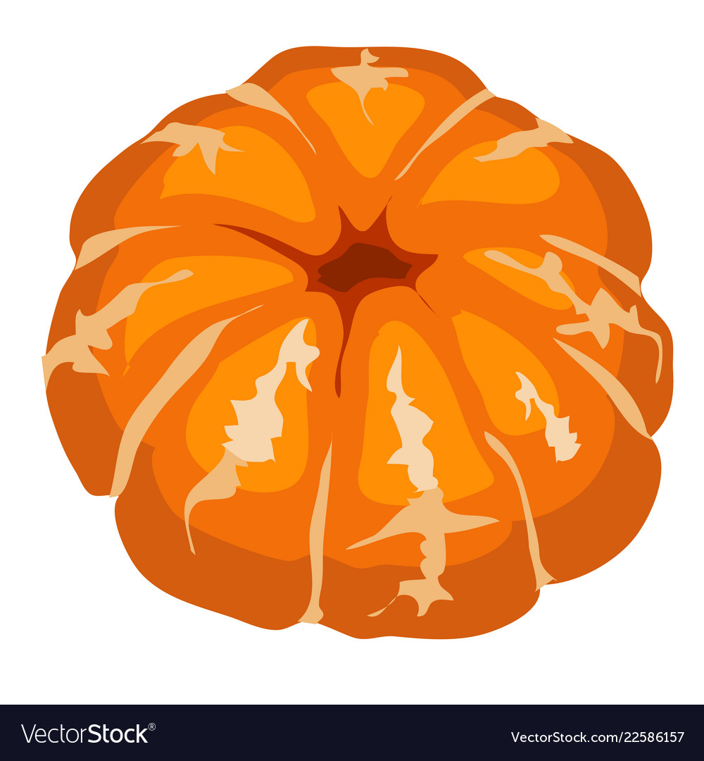 Cartoon peeled mandarin isolated on a white Vector Image