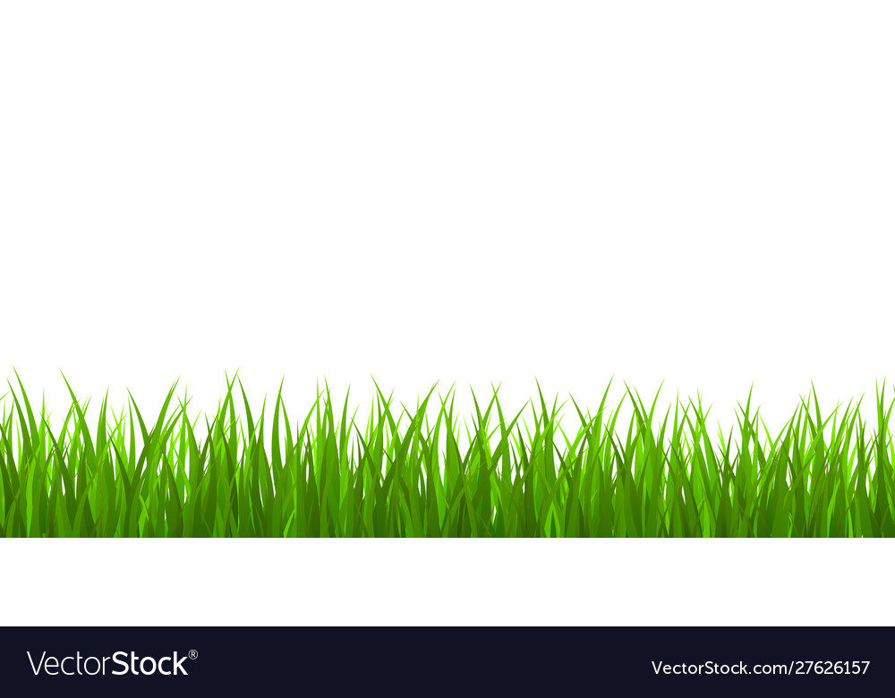 Fresh green grass border Royalty Free Vector Image