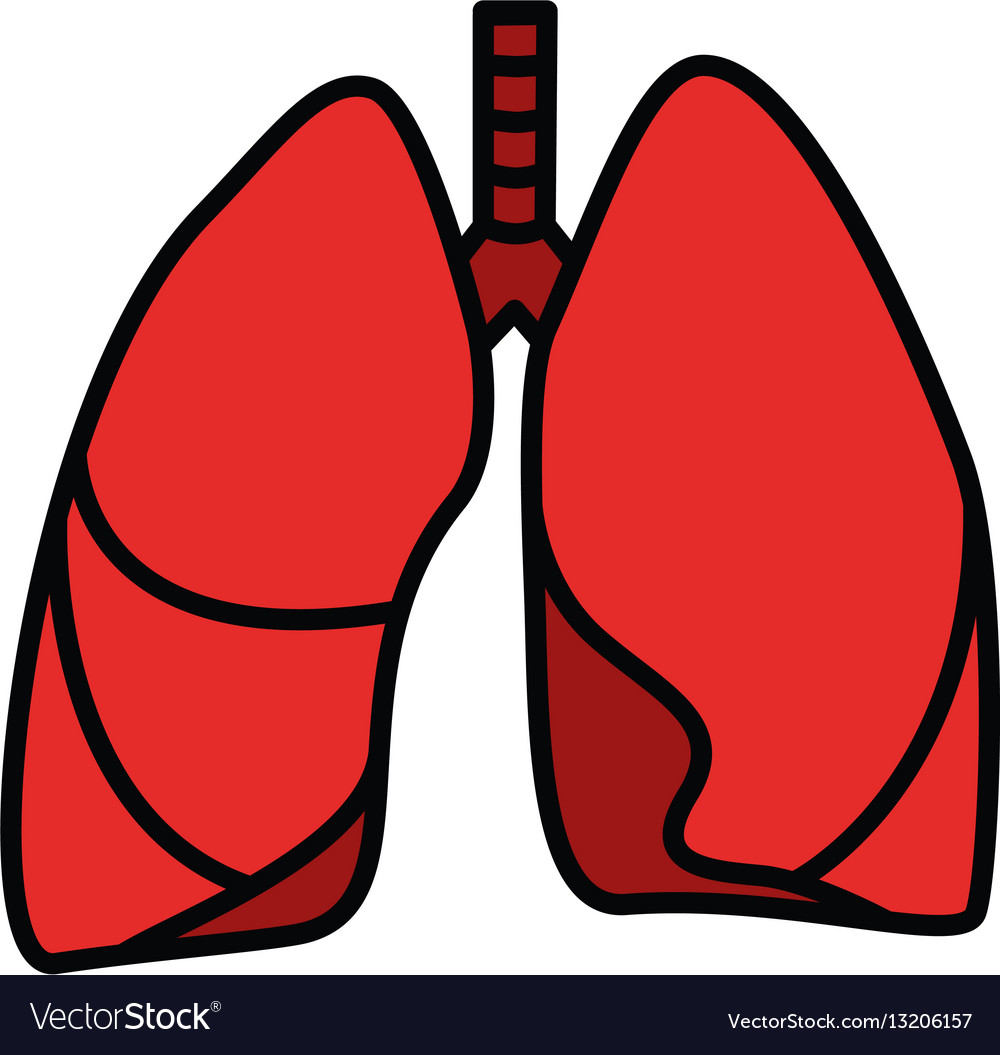 Human lungs symbol Royalty Free Vector Image - VectorStock