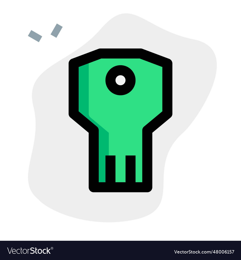 Key used for encryption of programs