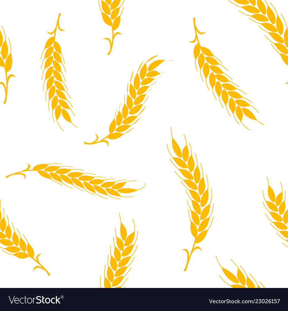 Seamless pattern simple ears of wheat