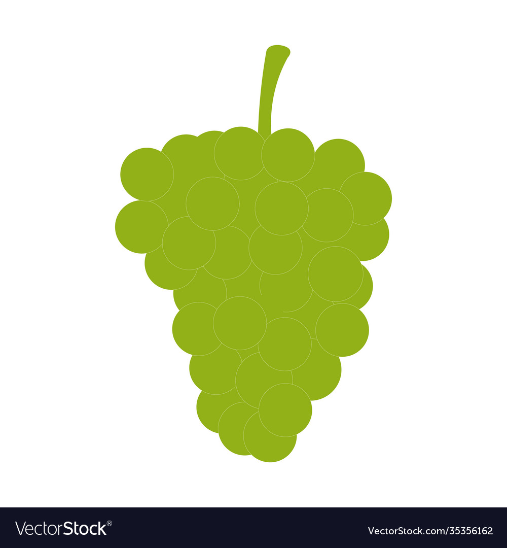 Green grape cluster on a white backdrop