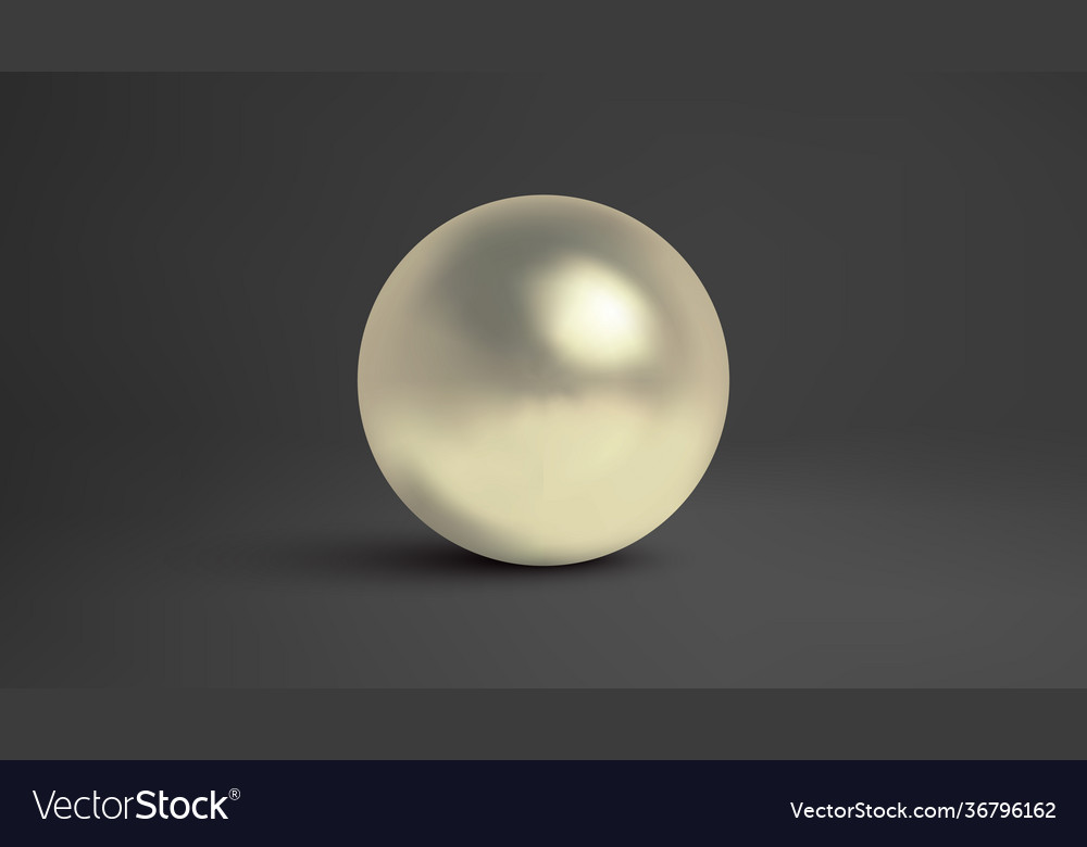 Pearl isolated on dark background luxury Vector Image