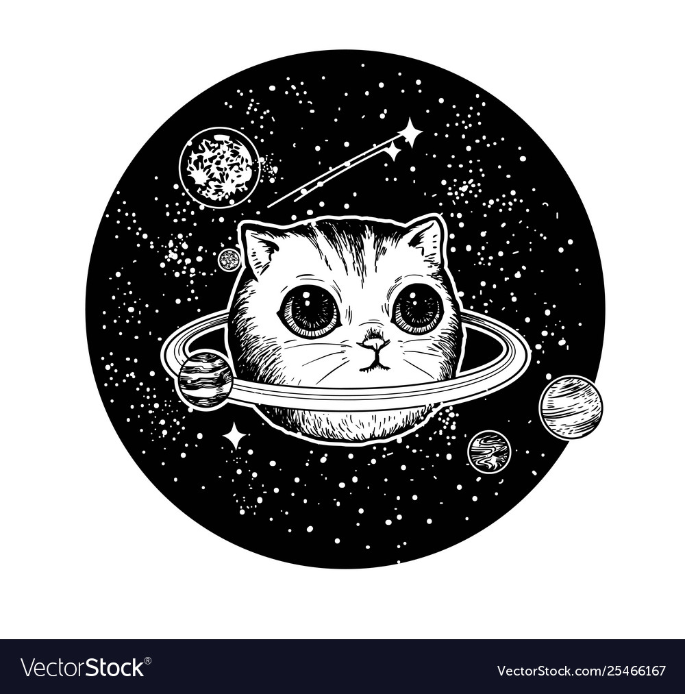 Планеты Котики