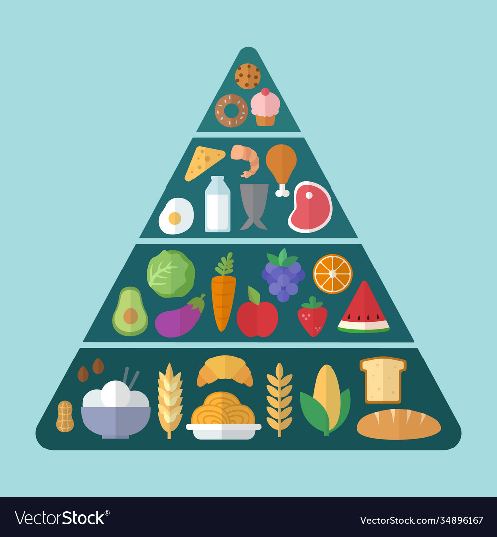 Food Pyramid Hierarchy Chart