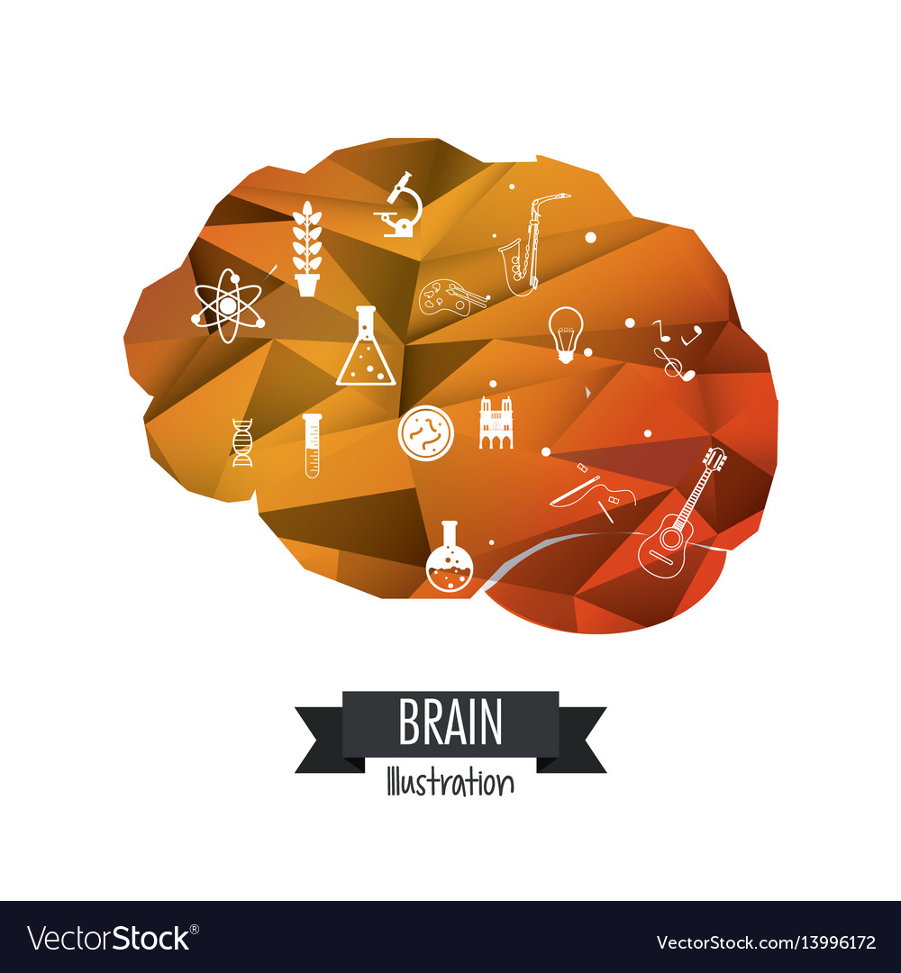 Brain design mind concept white background