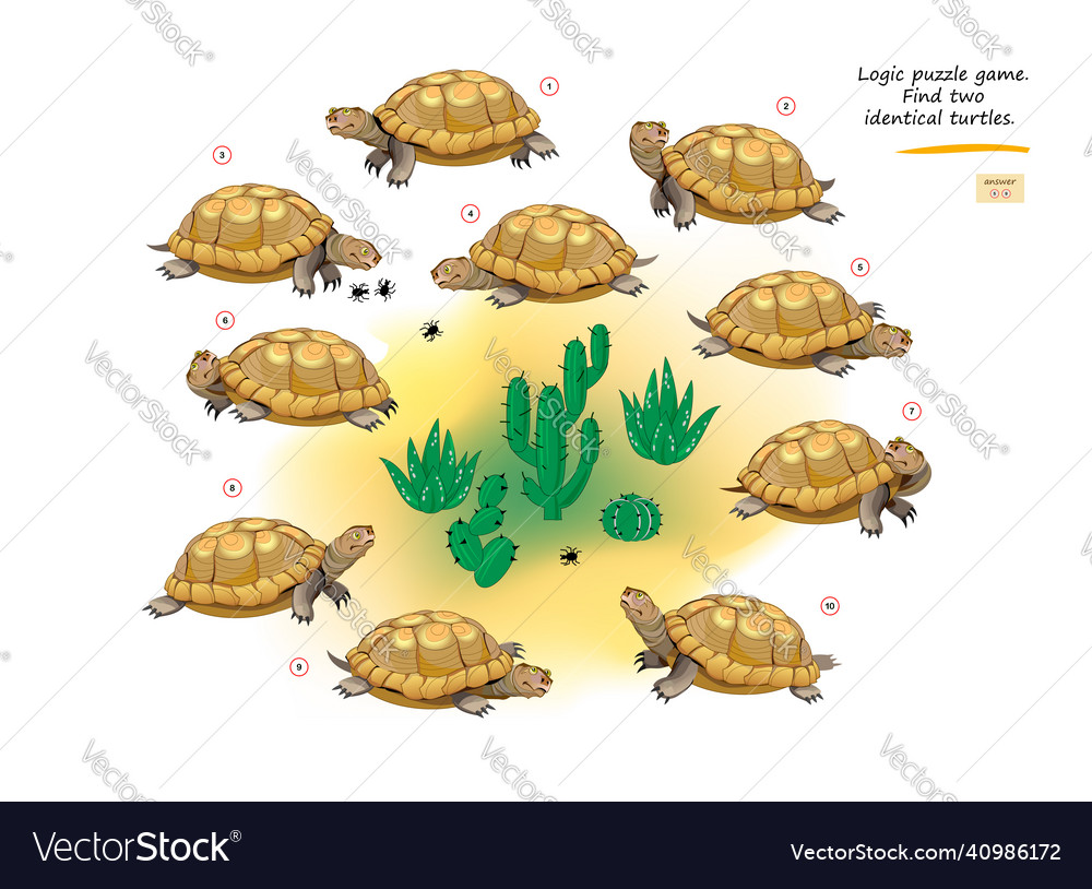 Find Two Turtles Logic Puzzle
