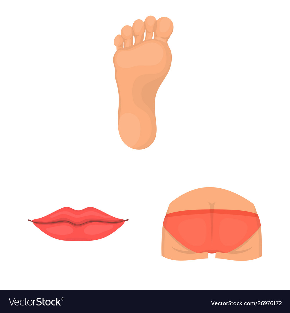 Isolated object body and part symbol vector image Isolated object body and part symbol