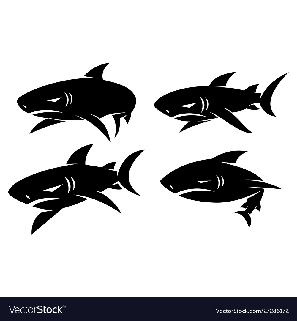 Shark logo emblem design set modern concept