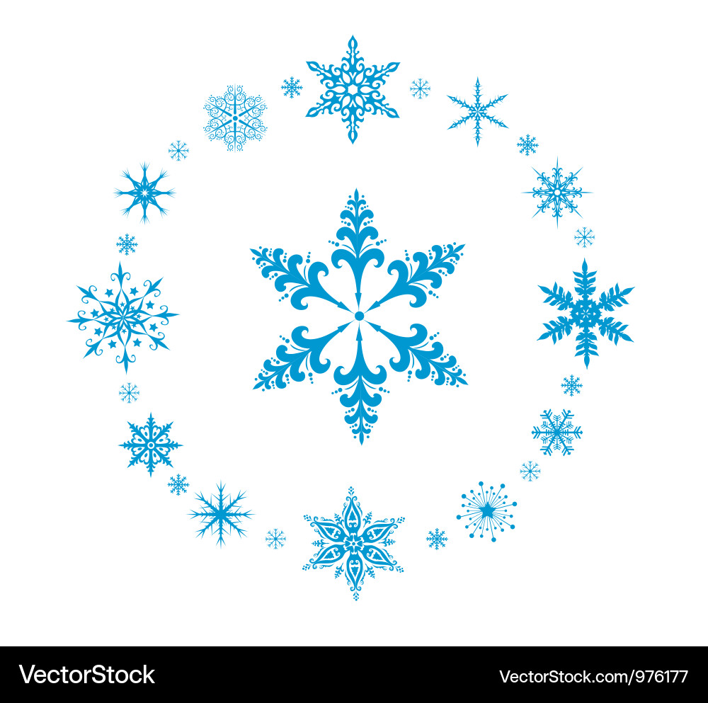 Rounded decorative snowflakes Royalty Free Vector Image
