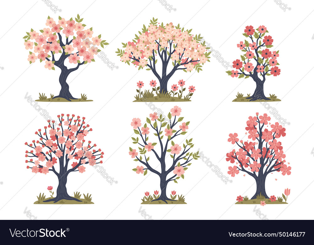 Set of spring blooming trees isolate on a white vector image Set of spring blooming trees isolate on a white
